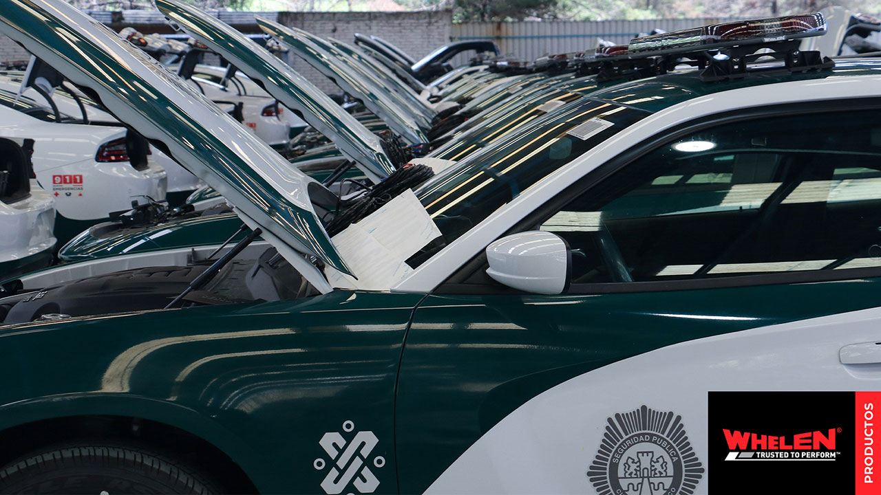 IMAGEN 20