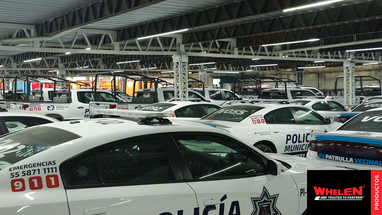 IMAGEN 6